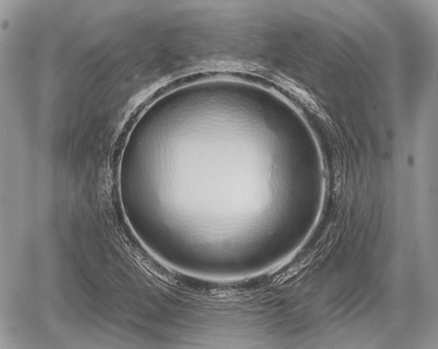 X0000060761264200511141222