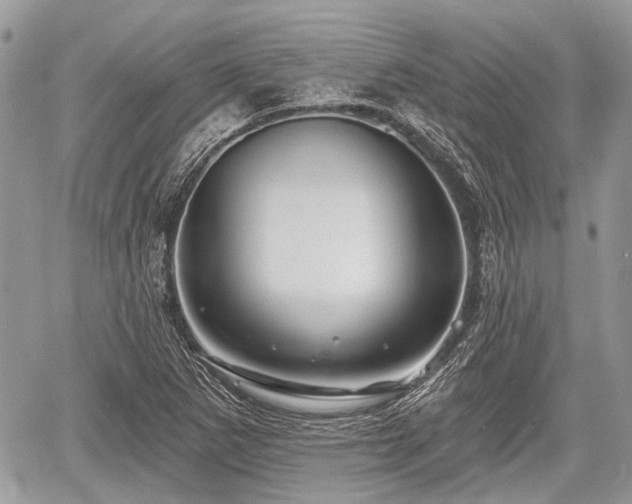 X0000060761265200511141222