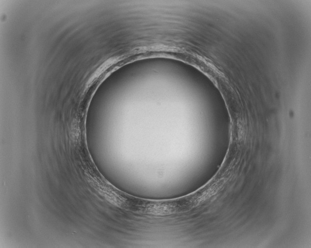 X0000060761266200511141222