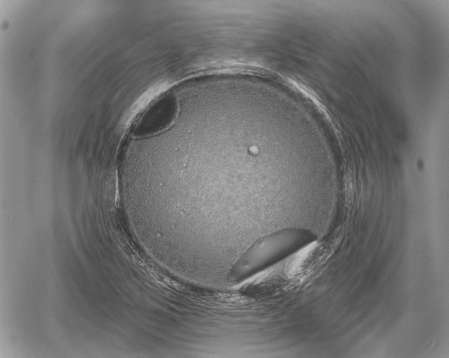 X0000060761267200511141222