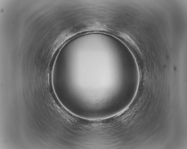 X0000060761268200511141222