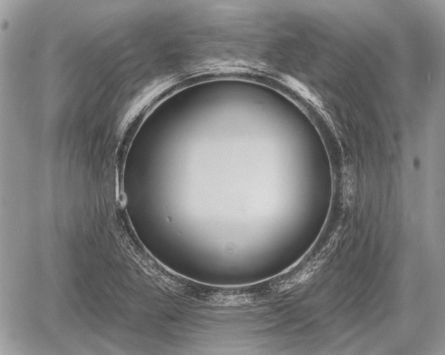 X0000060761269200511141222