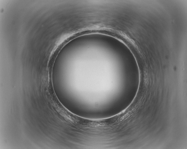 X0000060761270200511141222