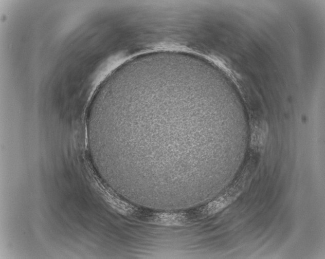 X0000060761271200511141222