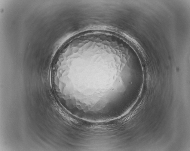 X0000060761272200511141221