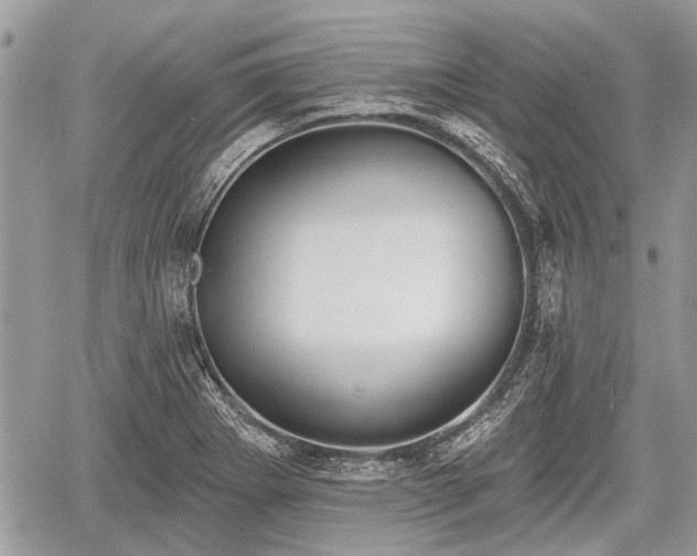 X0000060761273200511141221