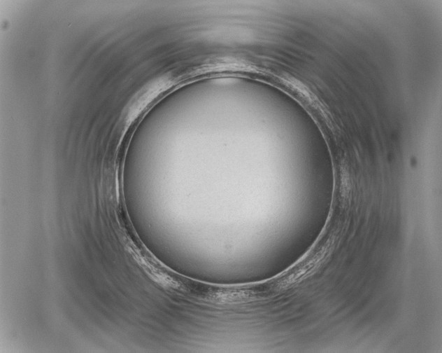 X0000060761274200511141221