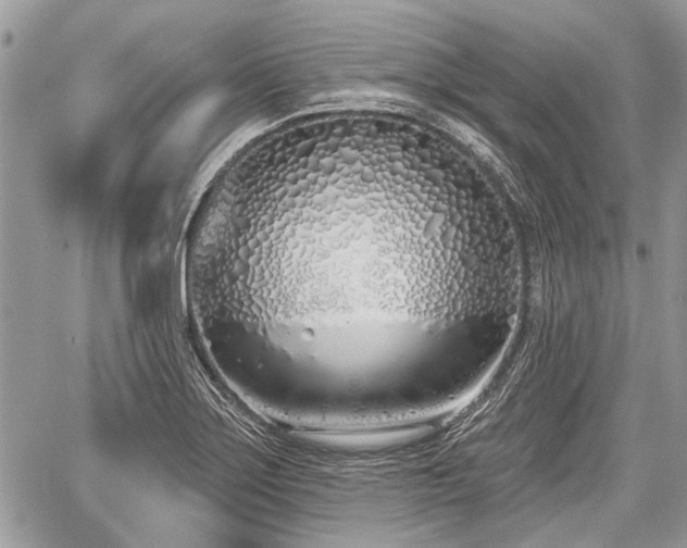 X0000060761275200511141221