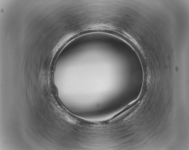 X0000060761277200511141221