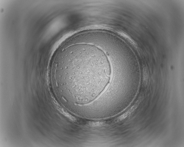 X0000060761278200511141221