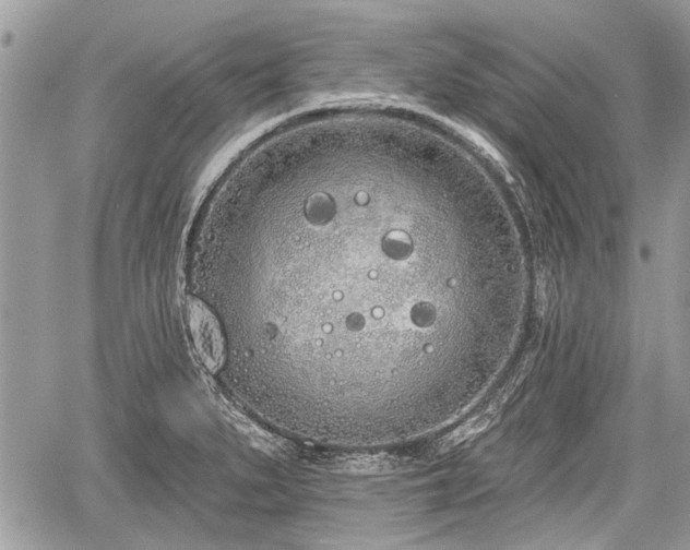 X0000060761279200511141221