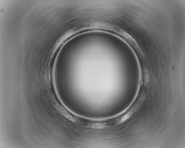 X0000060761280200511141221