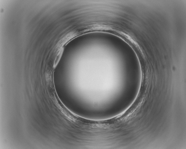 X0000060761281200511141221