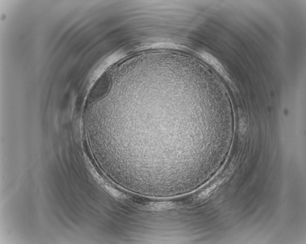 X0000060761282200511141221