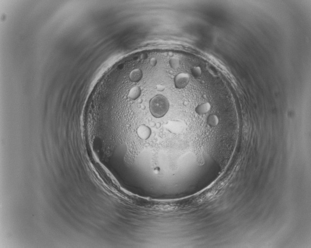 X0000060761283200511141221