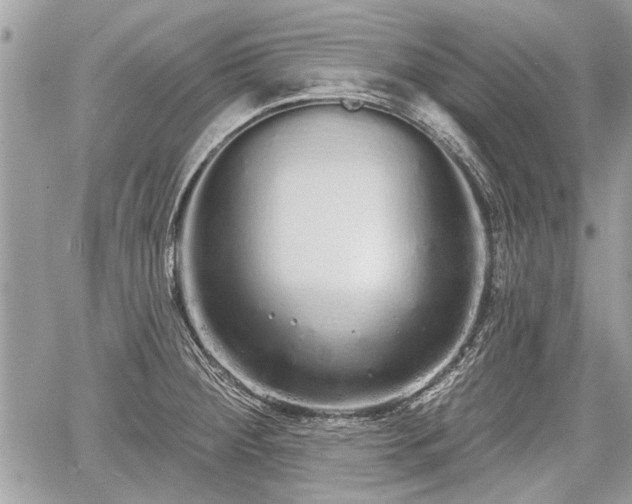 X0000060761284200511141221