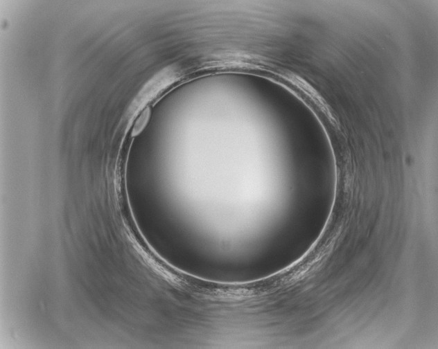 X0000060761285200511141221