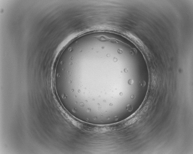 X0000060761286200511141221