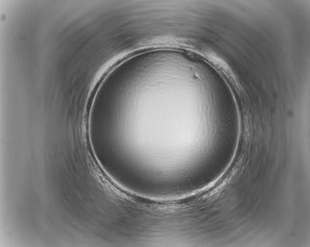 X0000060761288200511141221