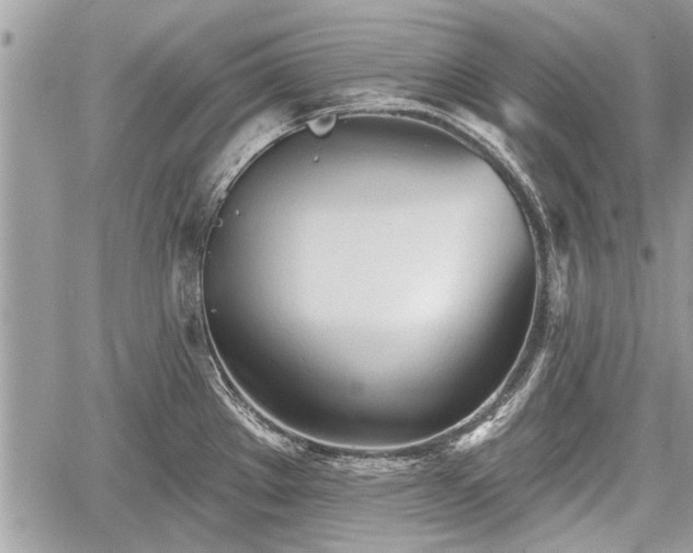 X0000060761289200511141221