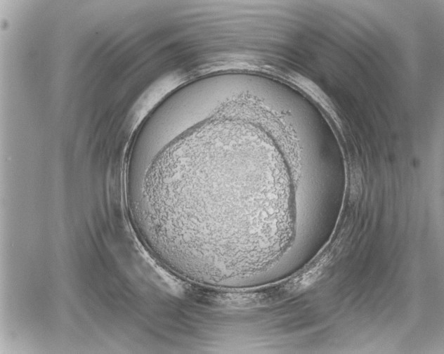 X0000060761290200511141221