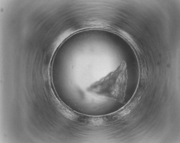 X0000060761291200511141221