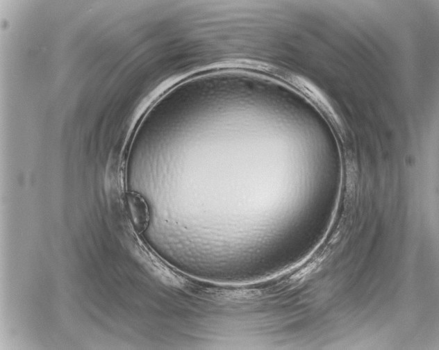 X0000060761292200511141221