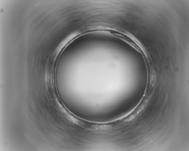 X0000060761293200511141221