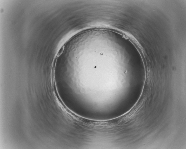 X0000060761295200511141221