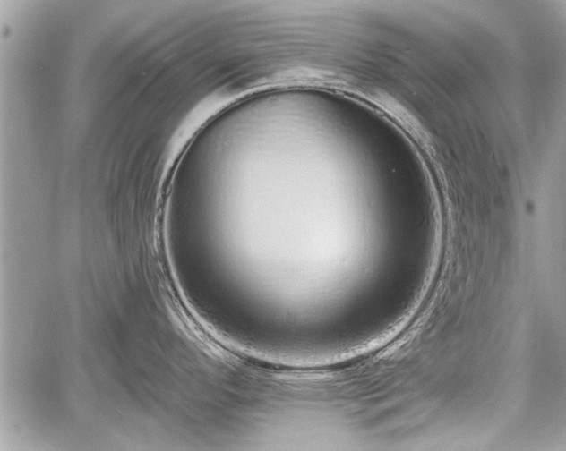 X0000060761296200511141221