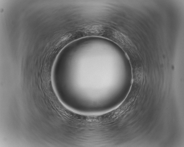 X0000060761297200511141220