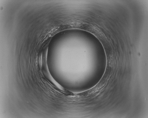 X0000060761298200511141220