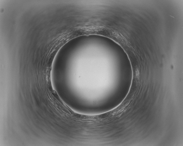 X0000060761300200511141220