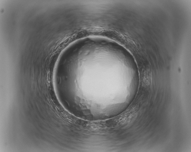 X0000060761301200511141220