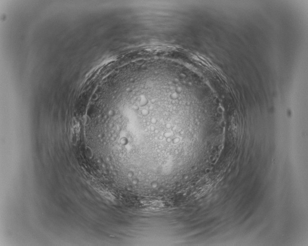 X0000060761302200511141220