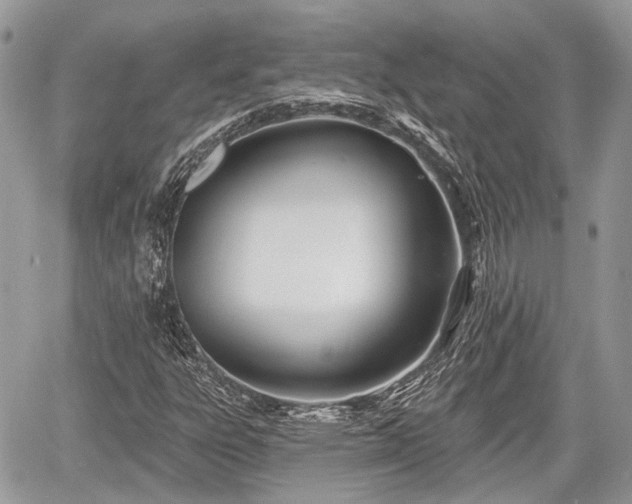 X0000060761303200511141220