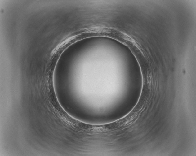 X0000060761304200511141220