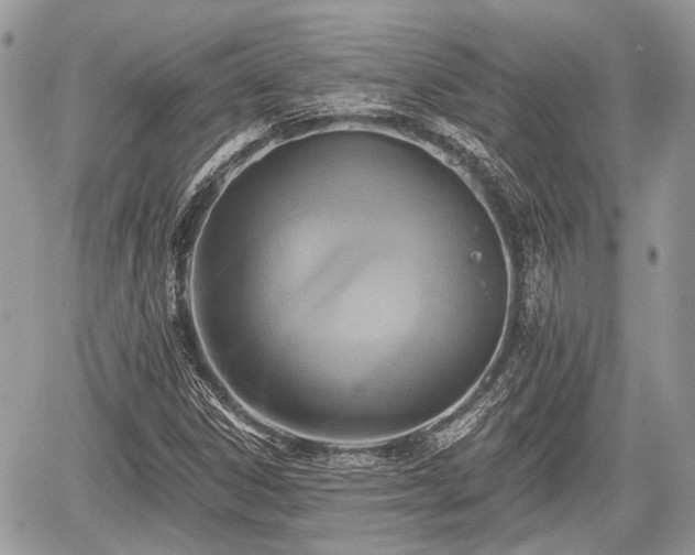 X0000060761306200511141220