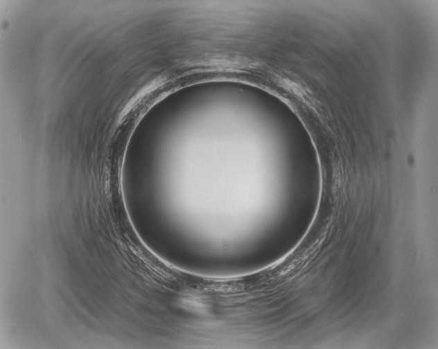 X0000060761307200511141220