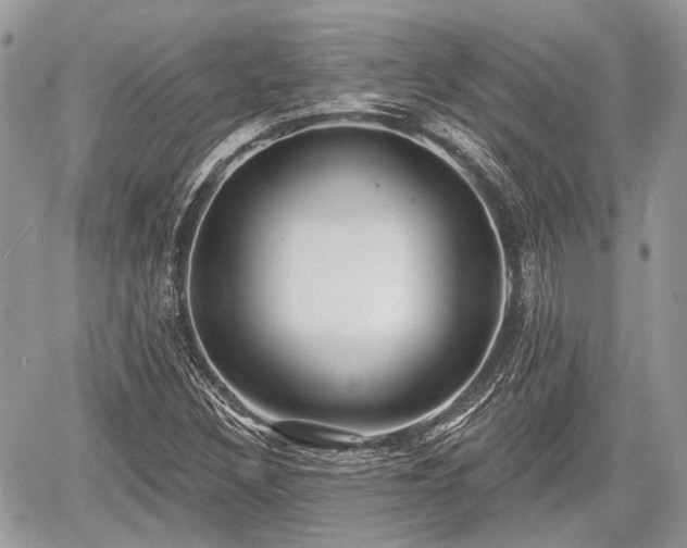 X0000060761308200511141220