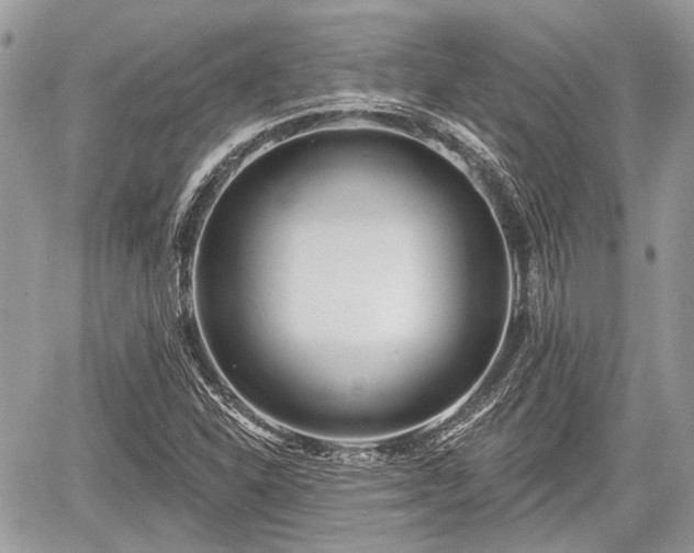 X0000060761310200511141220