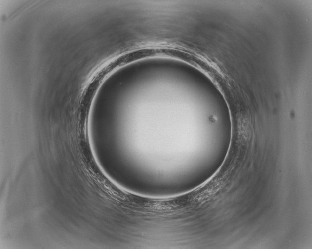 X0000060761311200511141221