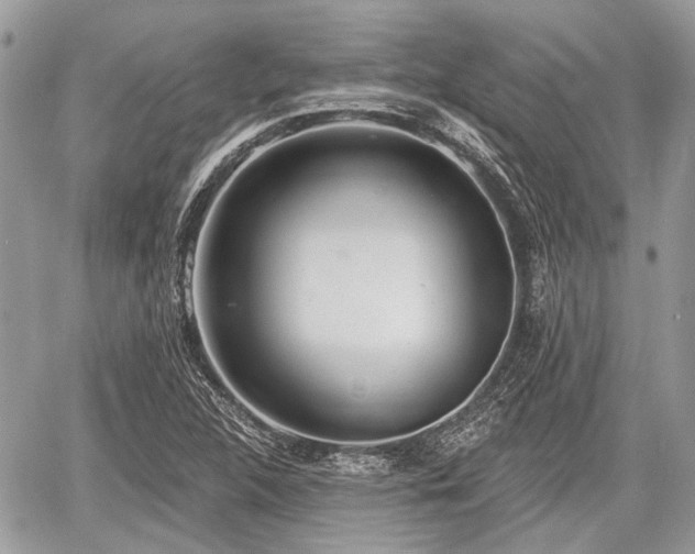 X0000060761312200511141221