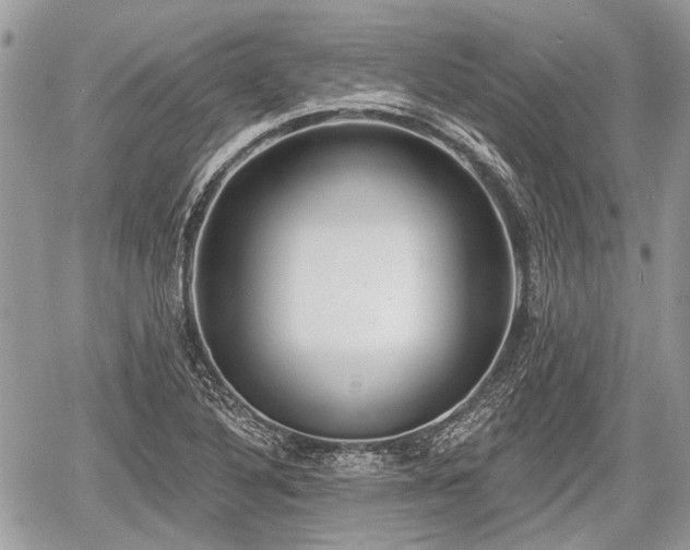 X0000060761316200511141221