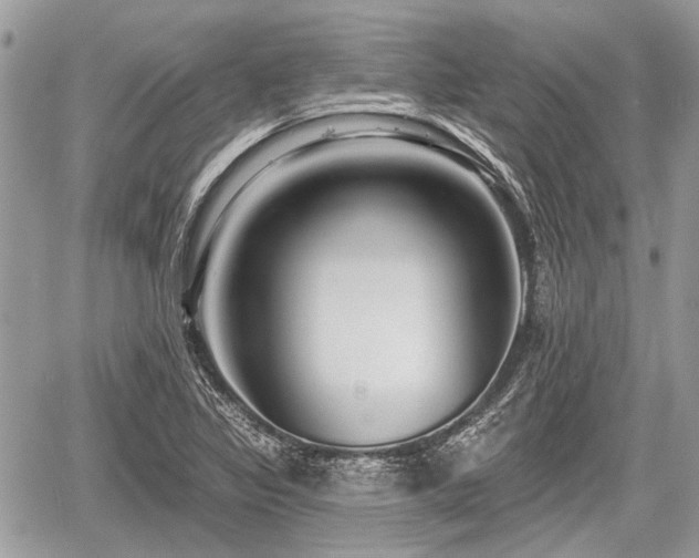 X0000060761317200511141221