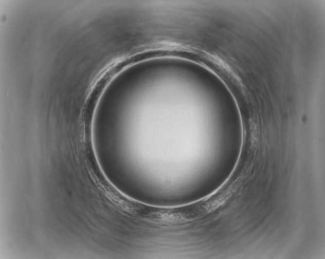 X0000060761318200511141221