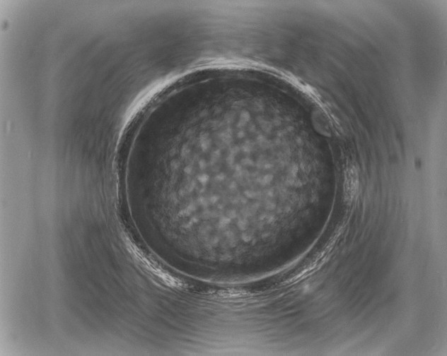 X0000060761319200511141221