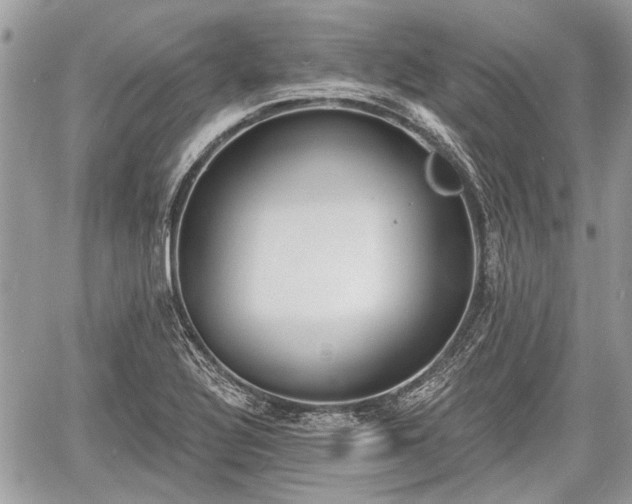 X0000060761320200511141221