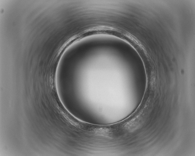 X0000060761321200511141221