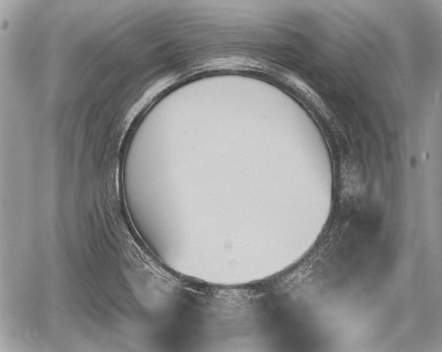 X0000060761322200511141221